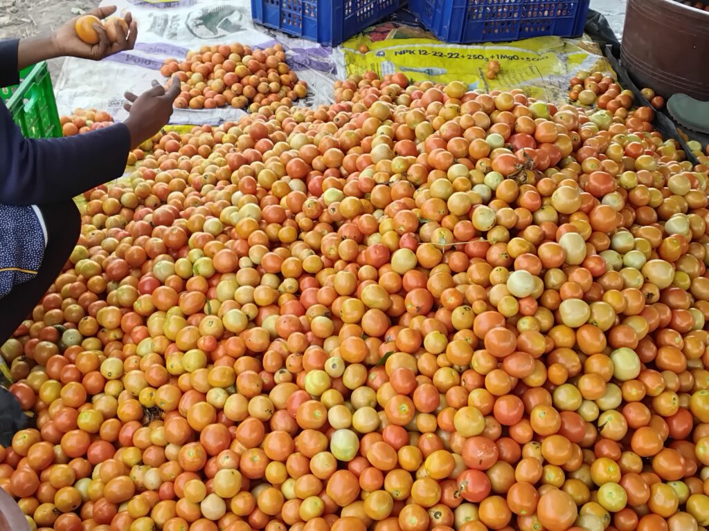 20260313 093011.jpg 1024x768