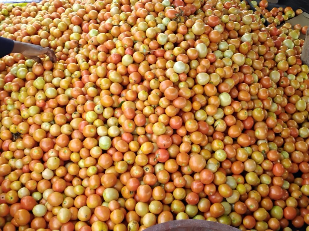 20260313 093016.jpg 1024x768