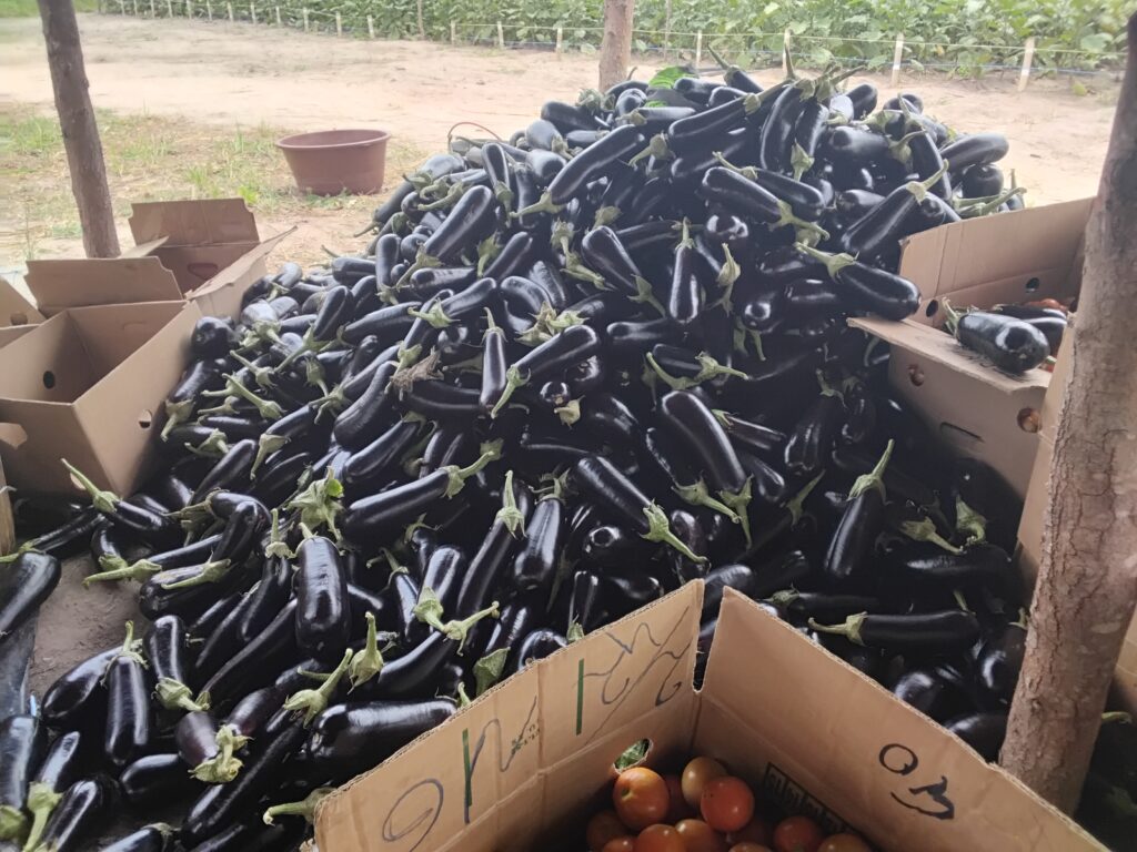 20260313 133618.jpg 1024x768