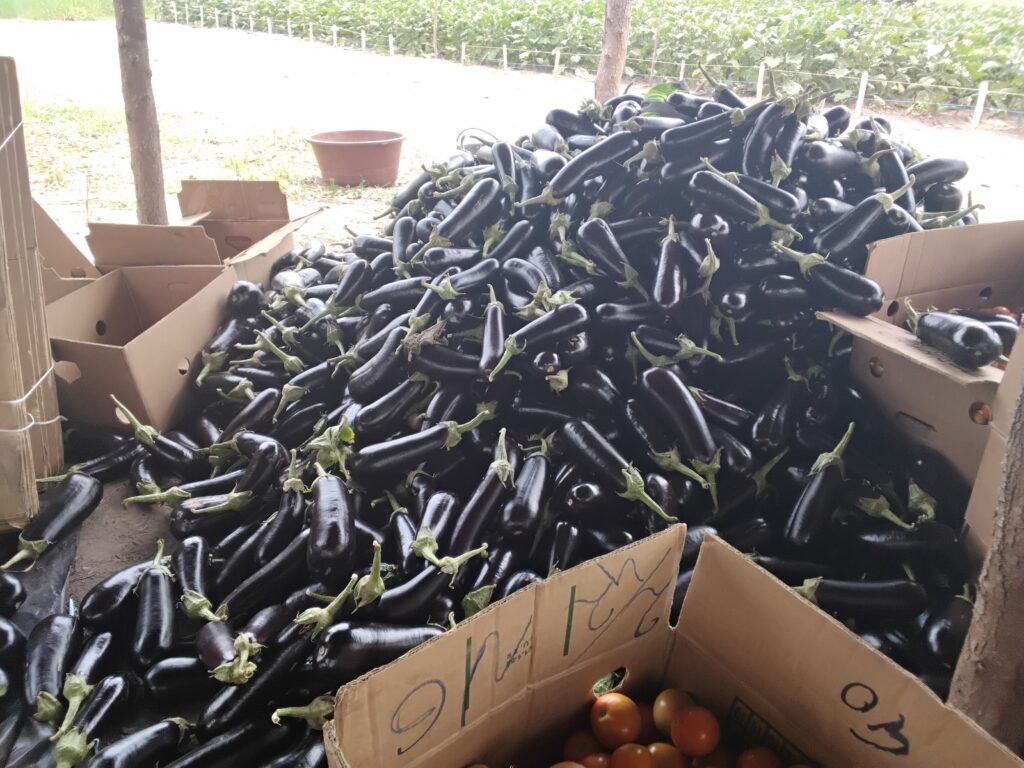 20260313 133620.jpg 1024x768