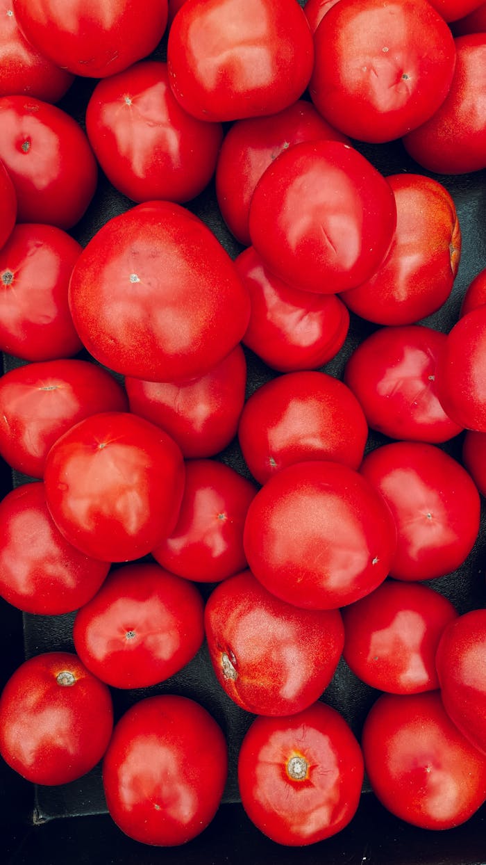 A vibrant collection of fresh red tomatoes. Perfect for culinary and gardening themes.